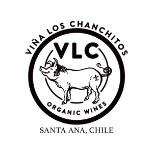 Viña Los Chanchitos